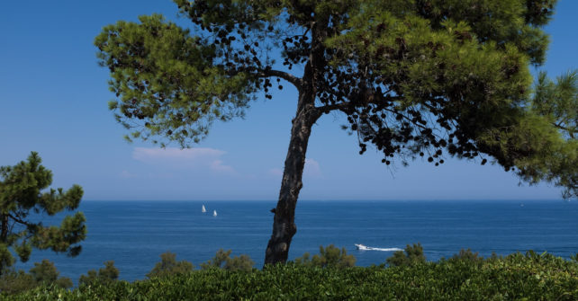 Opening of the reservations for the 2019 season