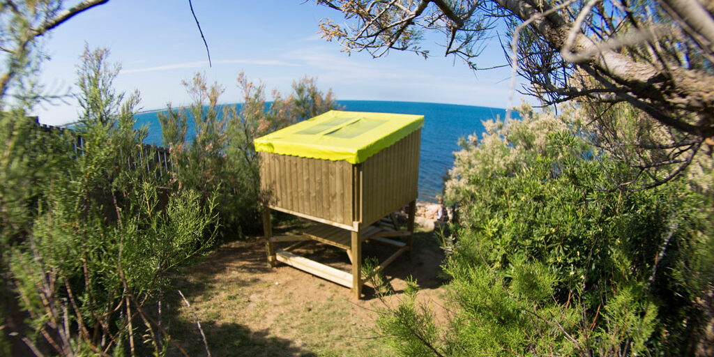 Cabane étoile vue Mer