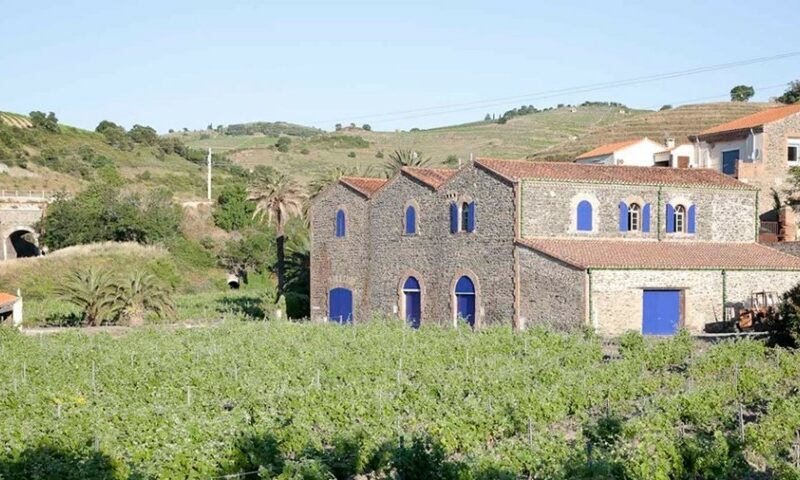 Clos de Paulilles